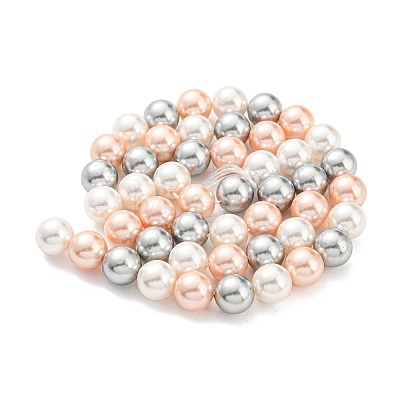 Electroplated Natural Shell Beads Strands SHEL-F008-03B-04-1