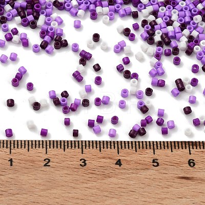 Baking Paint Glass Seed Beads SEED-S042-05B-53-1