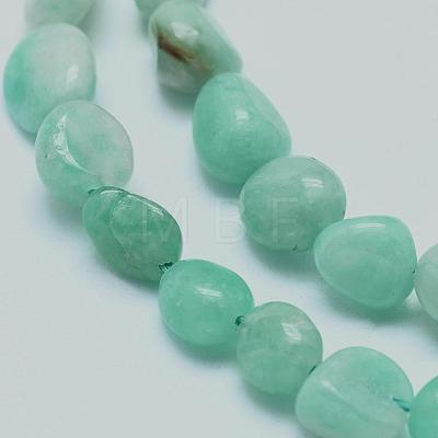 Natural Amazonite Beads Strands G-E483-50-1