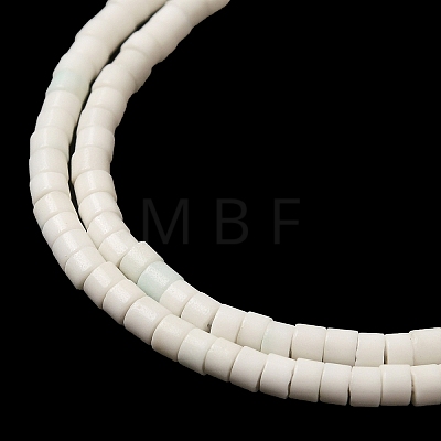 Natural Agate Beads Strands G-C139-A06-01-1