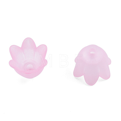 Opaque & Transparent Acrylic Beads MACR-T045-01C-1