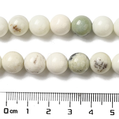 Natural Dendritic Jasper Beads Strands G-H298-A15-04-1