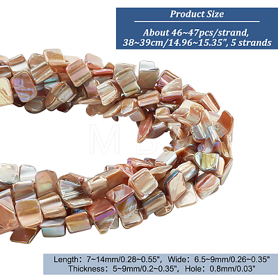  5 Strands Natural Freshwater Shell Beads Strands SHEL-NB0001-57-1