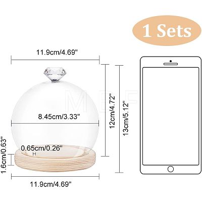 Glass Dome Cover ODIS-WH0002-26A-1