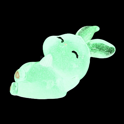 Luminous Resin Rabbit Ornament DJEW-R011-02E-1