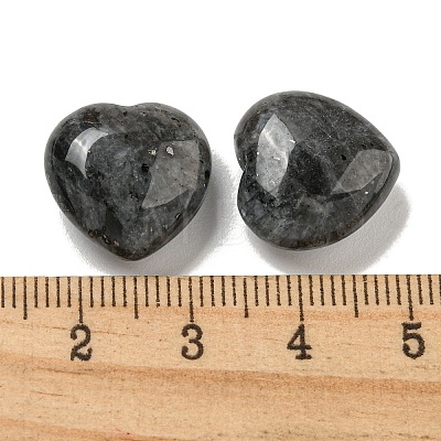 Natural Larvikite Beads G-P531-A12-01-1