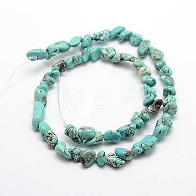 Natural Magnesite Beads Strands TURQ-P027-65-1