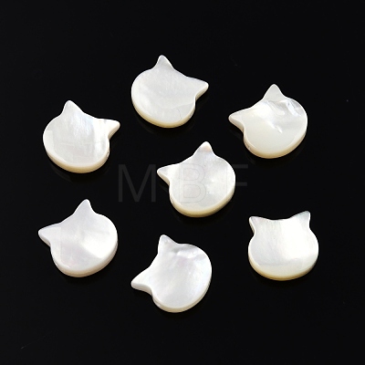 Natural White Shell Beads SSHEL-N003-142-1