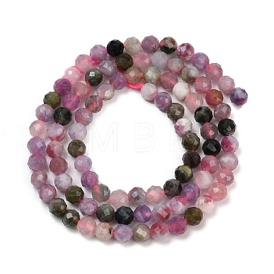 Natural Colorful Tourmaline Beads Strands G-C181-B04-03-1