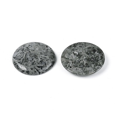 Natural Map Stone Pendants G-N361-04D-1