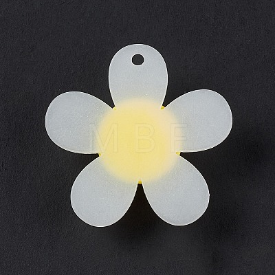 Frosted Translucent Acrylic Pendants X-OACR-P012-C02-1