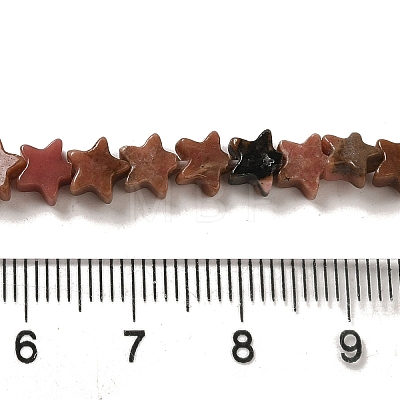 Natural Rhodonite Beads Strands G-G085-B16-02-1