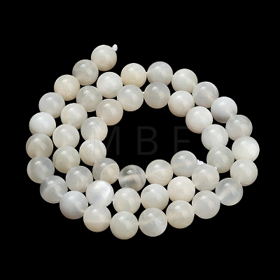 Natural White Moonstone Beads Strands G-L664-A01-8mm-A-1