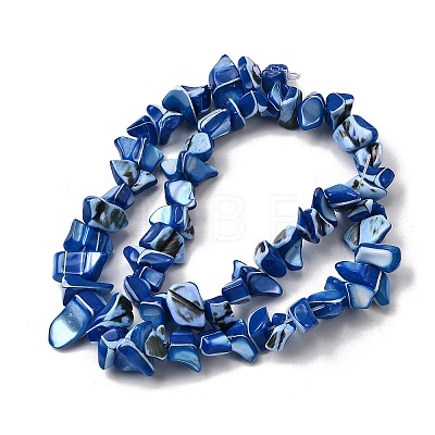 Natural Trochid Shell/Trochus Shell Beads Strands SHEL-B003-02G-1