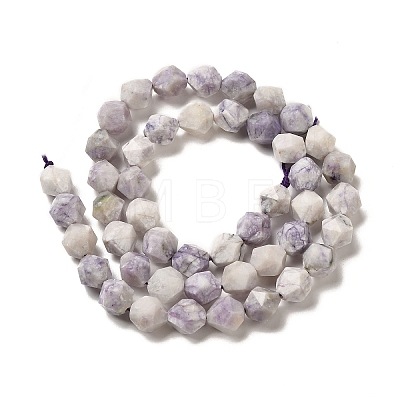 Natural Purple Turquoise Beads Strands G-K382-A09-02-1