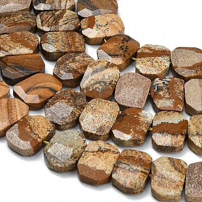 Natural Picture Jasper Beads Strands G-C285-A11-01-1