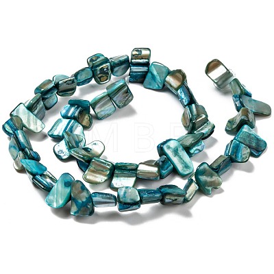 Natural Shell Beads Strands BSHE-MSMC001-04-1