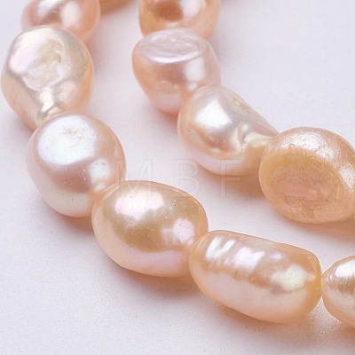 Natural Cultured Freshwater Pearl Beads Strands PEAR-P002-47-01-1