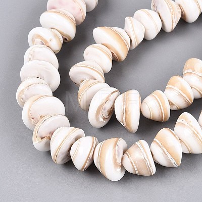Natural Sea Shell Beads Strands SHEL-Q028-02-1