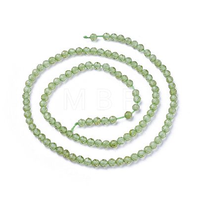 Natural Peridot Beads Strands G-F619-06-2mm-1