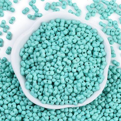 Baking Paint Glass Seed Beads SEED-K010-A19-1