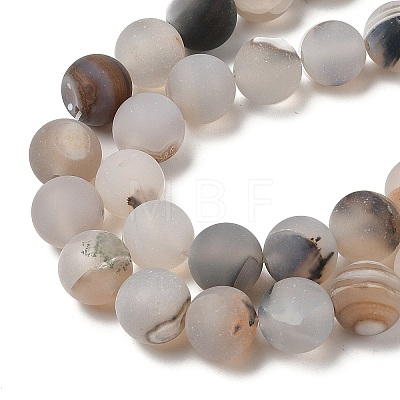 Natural Dendritic Agate Beads Strands G-A248-A04-01-1