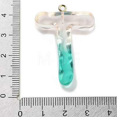 Resin Pendant FIND-Q107-01T-03-1