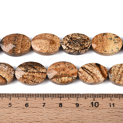 Natural Picture Jasper Beads Strands G-S354-13x18-A06-1