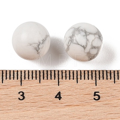 Natural Howlite No Hole Sphere Beads G-K353-04A-20-1