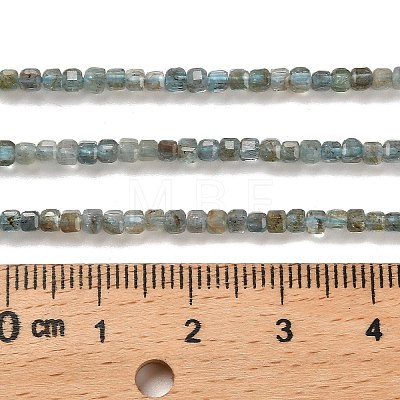 Natural Apatite Beads Strands G-B107-C01-01-1