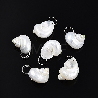 Natural Spiral Shell Pendants X-SHEL-N036-11-1
