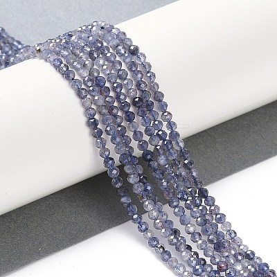 Natural Iolite Beads Strands LS-G-N342-32-1