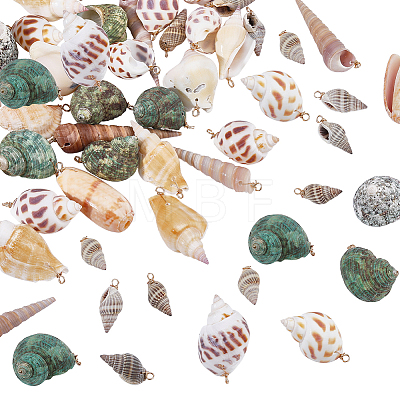 45Pcs Copper Wire Wrapped Natural Spiral Shell Pendants PALLOY-WR00033-1