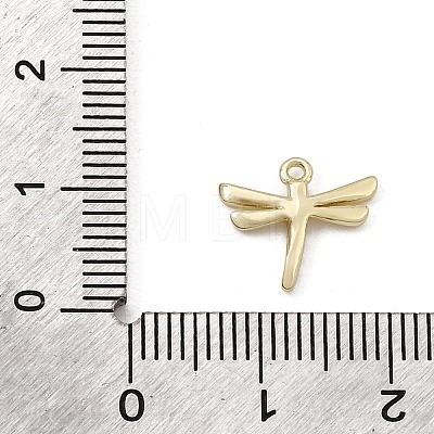Brass Micro Pave Clear Cubic Zirconia Charms CU-CBA3D76-03G-01-1