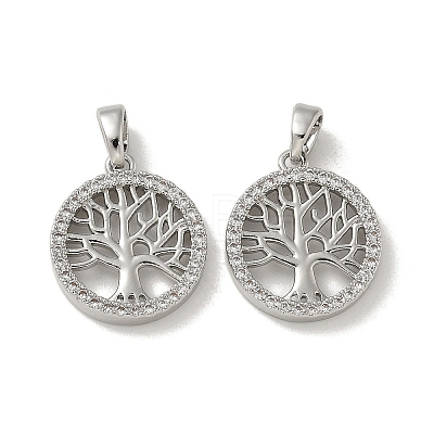 Brass Micro Pave Cubic Zirconia Pendents KK-R210-21P-01-1