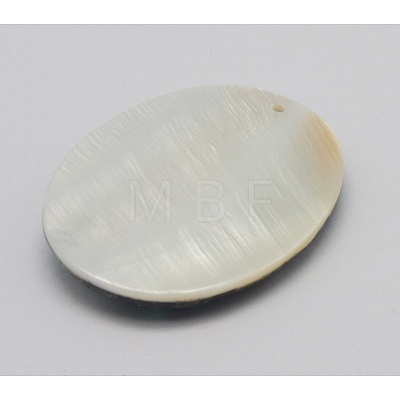 Abalone Shell/Paua Shell Pendants SSHEL-N001-113-1