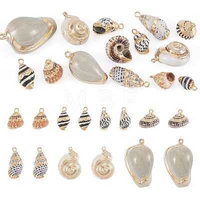 14Pcs 7 Styles Electroplated Natural Mixed Shell Pendants BSHE-TA0001-34A-1