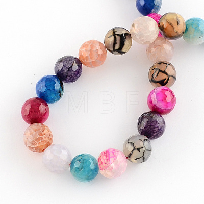 Dyed Natural Multi-Color Agate Beads Strands G-R177-6mm-07-01-1