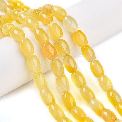 Dyed Natural Agate Beads Strands G-T141-15B-02-1