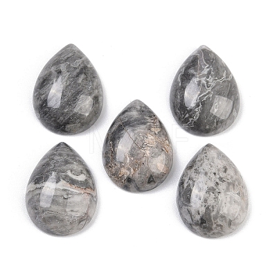 Natural Map Stone Cabochons G-H094-01A-34-1