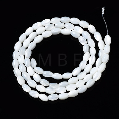 Natural Trochid Shell/Trochus Shell Beads Strands SSHEL-S266-021A-01-1