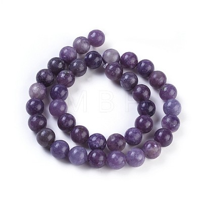 Natural Lepidolite/Purple Mica Stone Beads Strands G-E545-01B-1