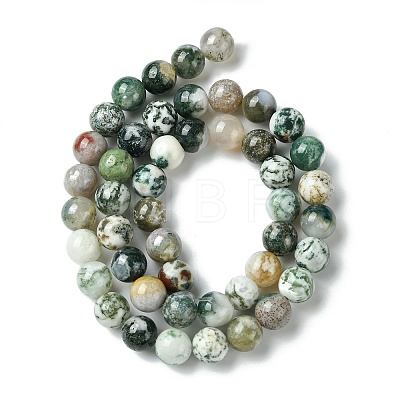 Natural Tree Agate Round Gemstone Beads Strands G-R255-8mm-1
