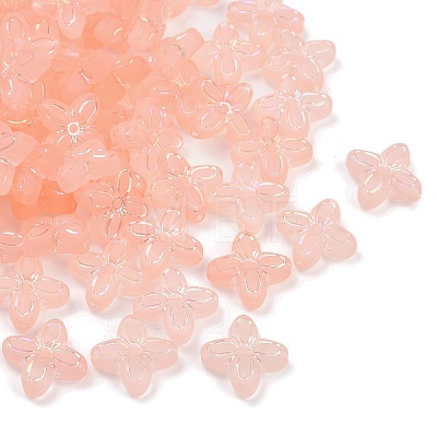 Frosted Transparent Acrylic Beads OACR-P029-09B-02-1