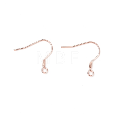 304 Stainless Steel Earring Hooks STAS-P221-04RG-1
