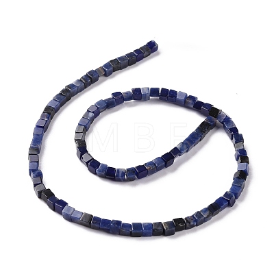 Natural Sodalite Beads Strands G-F631-K17-1