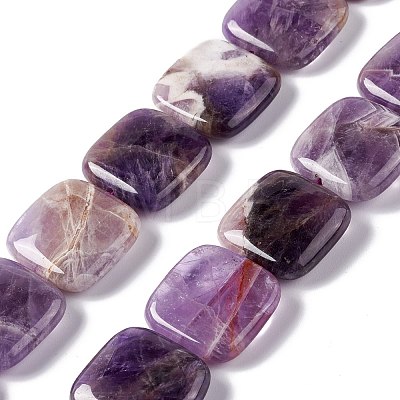 Natural Amethyst Beads Strands G-L253-11-1