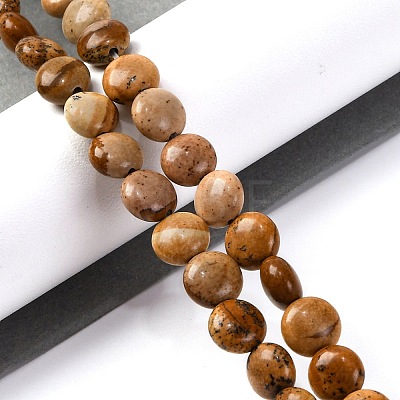 Natural Picture Jasper Beads Strands G-T047-A22-01-1