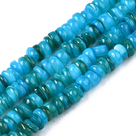 Natural Freshwater Shell Beads Strands SHEL-S278-067B-1