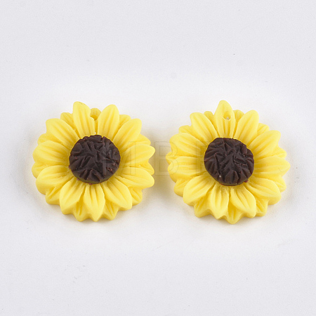 Resin Pendants CRES-T010-58A-1